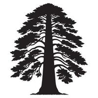 A wide redwood tree illustration in black and white vector