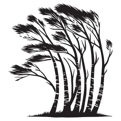 A cluster of birch trees illustration in black and white