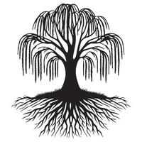 A willow tree with visible root illustration in black and white vector