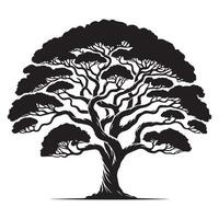 A banyan tree in minimalist illustration in black and white vector