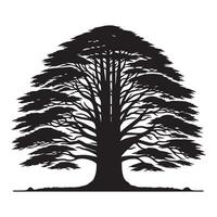 A wide redwood tree illustration in black and white vector