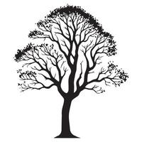 un amplio ceniza árbol ilustración en negro y blanco vector