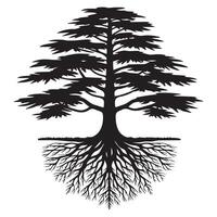 A cedar tree with visible root illustration in black and white vector