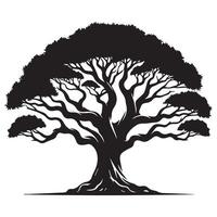 A banyan tree in minimalist illustration in black and white vector