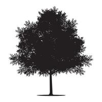 A wide birch tree illustration in black and white vector