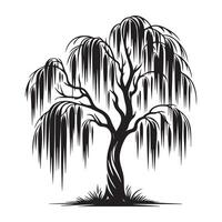 un sauce árbol con ilustración en negro y blanco vector