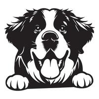 A Playful Saint Bernard Dog Face illustration in black and white vector