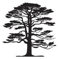 A cedar tree with a twisted trunk illustration in black and white vector