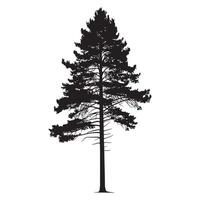 a beautiful pine tree illustration in black and white vector