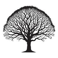 PrintA wide ash tree illustration in black and white vector