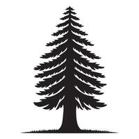 A redwood tree with a slender trunk silhouette vector