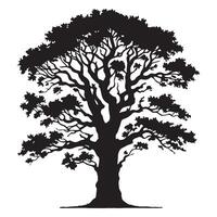 A detailed ash tree silhouette vector