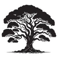 A banyan tree in silhouette vector