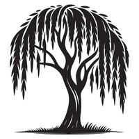 A beautiful willow tree illustration in black and white vector