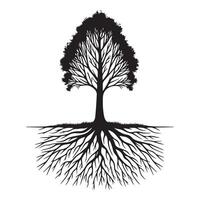 A birch tree with a detailed root illustration in black and white vector
