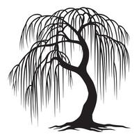 A willow tree with visible root illustration in black and white vector