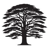A cedar tree with a twisted trunk illustration in black and white vector