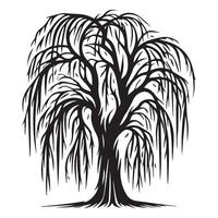 A willow tree with visible bark texture illustration in black and white vector