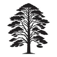 a beautiful pine tree illustration in black and white vector