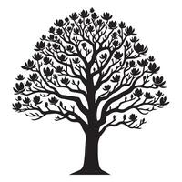 A magnolia tree illustration in black and white vector