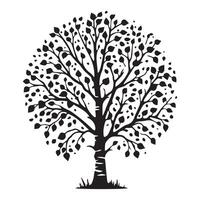 un ladrar abedul árbol ilustración en negro y blanco vector