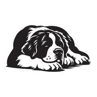 A Relaxed Saint Bernard Dog Face illustration in black and white vector