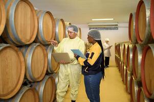 profesional enólogo controlador vino haciendo proceso y calidad a lagar fábrica foto