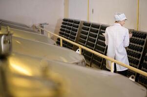 profesional enólogo controlador vino haciendo proceso y calidad a lagar fábrica foto