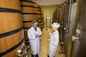 profesional enólogo controlador vino haciendo proceso y calidad a lagar fábrica foto