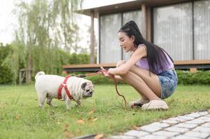 Happy asian woman playing with Cute Smart pug Puppy Dog In the Backyard photo