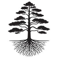 A pine tree with a visible root illustration in black and white vector