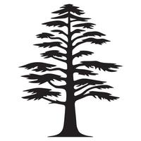 A tall cedar tree illustration in black and white vector