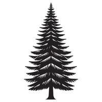 A spruce tree illustration in black and white vector