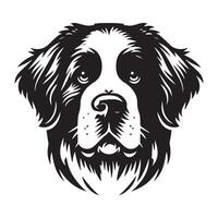 A Curious Saint Bernard Dog Face illustration in black and white vector