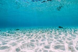 Turquoise ocean with sandy bottom underwater. Tropical sea in paradise island photo