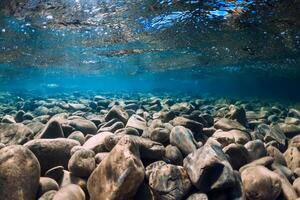 Underwater view with stones and blue transparent water. photo