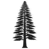 A tall cedar tree illustration in black and white vector