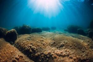 Underwater view with stones and seaweed in transparent sea. Sunlight in ocean photo