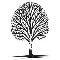 A birch tree in winter illustration in black and white vector