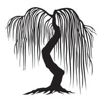 A beautiful willow tree illustration in black and white vector