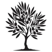 olive tree plant illustration in black and white vector