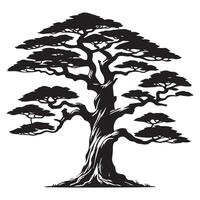 A cedar tree with a twisted trunk illustration in black and white vector