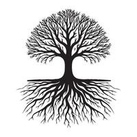 An ash tree with roots illustration in black and white vector