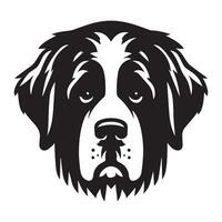 A Sad Saint Bernard Dog Face illustration in black and white vector