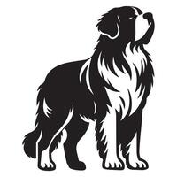 A Majestic Saint Bernard Dog Face illustration in black and white vector
