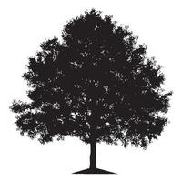 A detailed ash tree silhouette vector