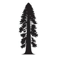 un secoya árbol con ramas ilustración en negro y blanco vector
