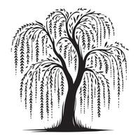 A willow tree with leaves illustration in black and white vector