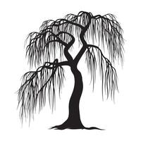 A beautiful willow tree illustration in black and white vector