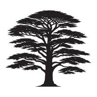 A wide cedar tree illustration in black and white vector